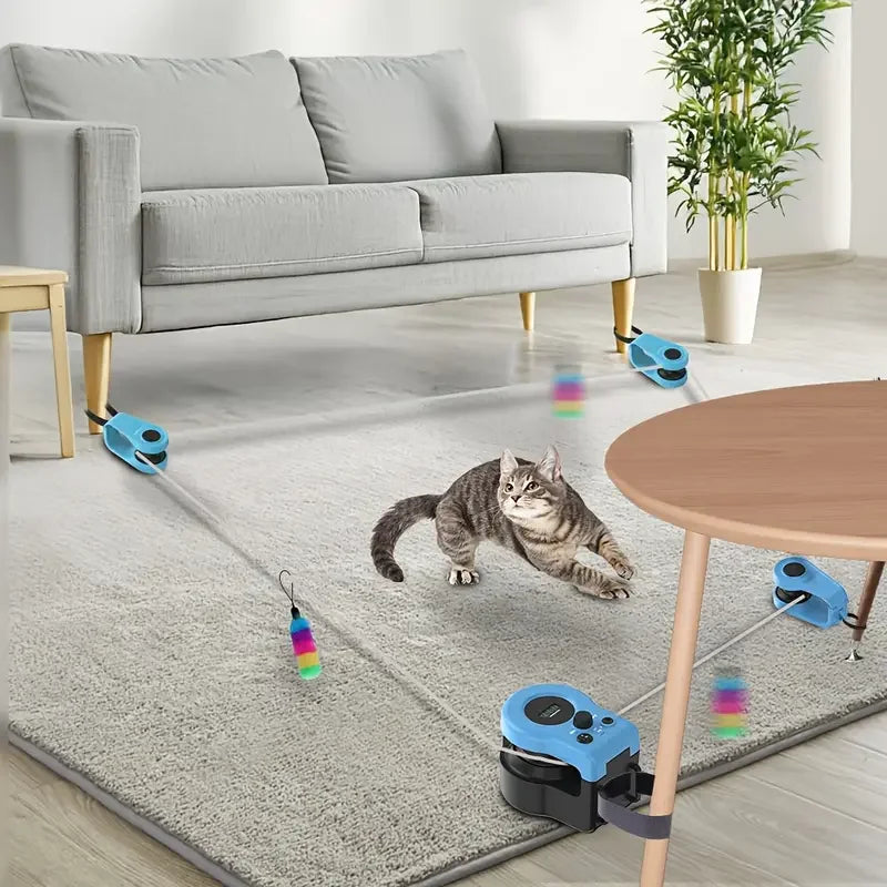 Ultimate Pet Chase Toy™