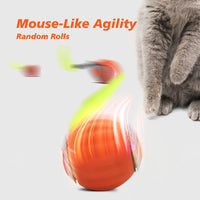 TailChase Motion Ball