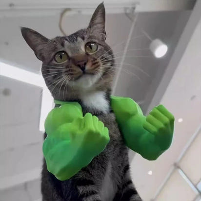 Funny Cat Muscle Arm 3D Printed Invincible Hulk Arm Pet Interactive Neck Hanging Toy Cosplay Costume Props Accessories