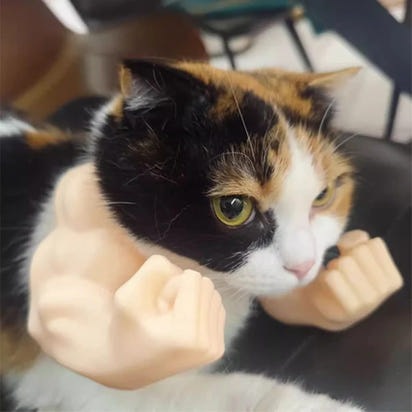Funny Cat Muscle Arm 3D Printed Invincible Hulk Arm Pet Interactive Neck Hanging Toy Cosplay Costume Props Accessories